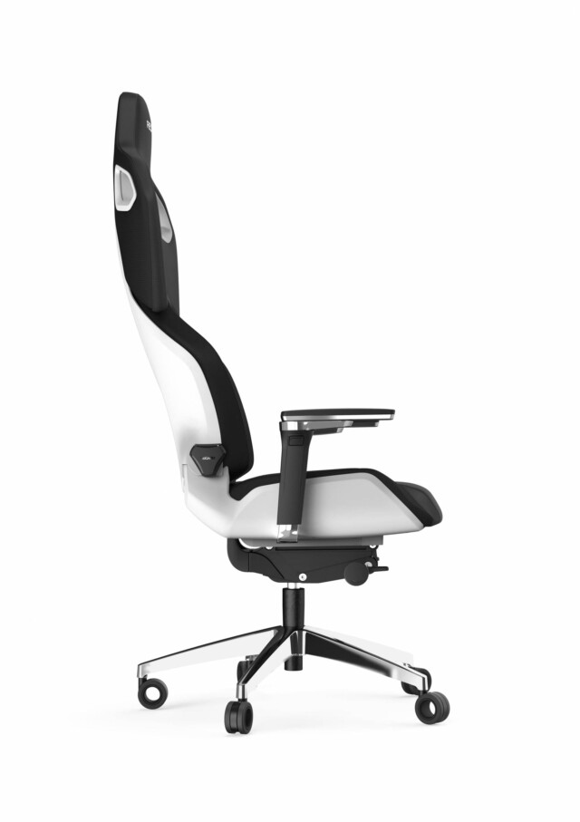RECARO Exo Platinum Black & White